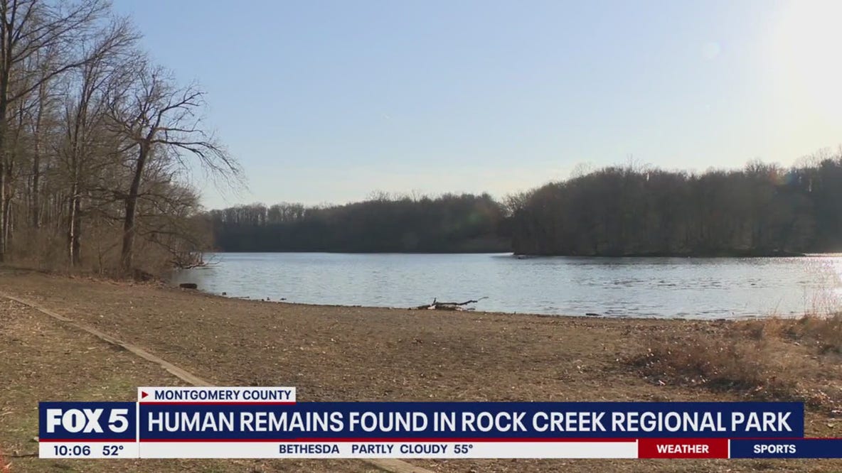 Scattered human remains found in Montgomery County park